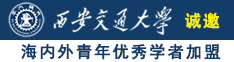 插操舔调教视频诚邀海内外青年优秀学者加盟西安交通大学