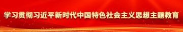 大几把艹bb中文字幕一起艹学习贯彻习近平新时代中国特色社会主义思想主题教育