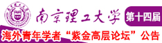 欧美出屄视频南京理工大学第十四届海外青年学者紫金论坛诚邀海内外英才！